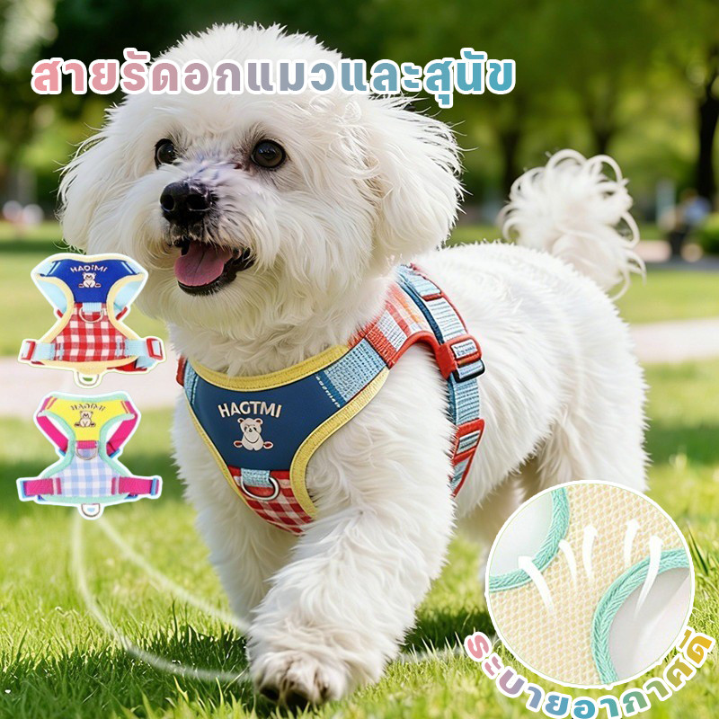 สายรัดอกแมวและสุนัข ผ้าตาข่าย สายรัดอกแมว สายจูงแมว ป้องกันหลุด ปรับขนาดได้ ระบายอากาศดี ดีไซน์น่ารัก