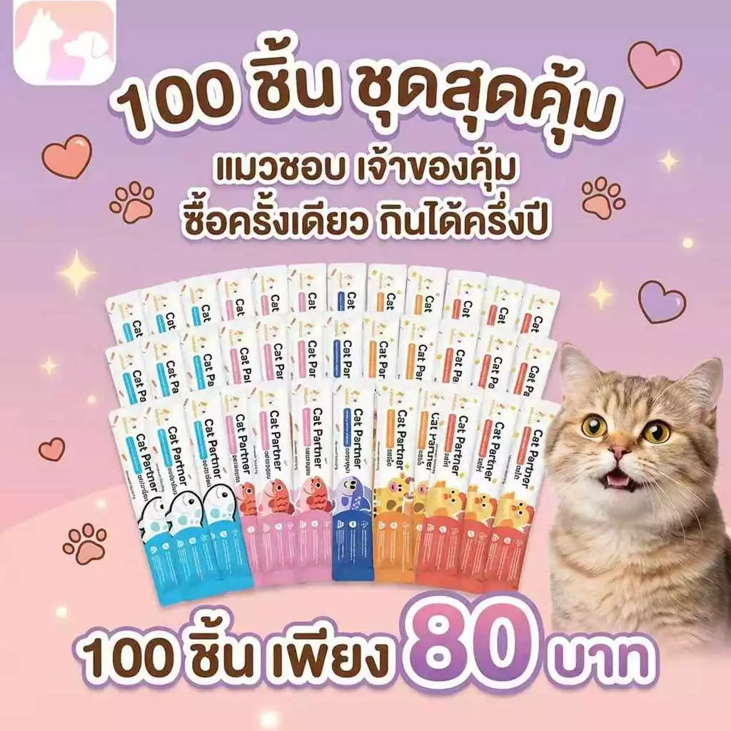 💥 ราคาดีที่สุดในแอป! Ketzuzu 16g [100 ซอง] ขนมแมวเลียเนื้อเนียน เกรดพรีเมียม ไม่เค็ม