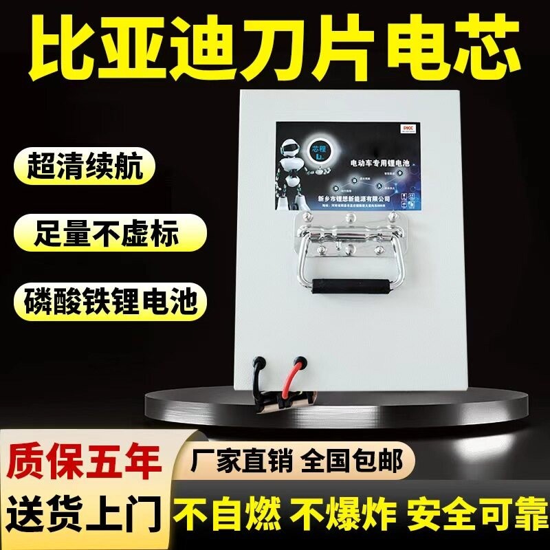 BYD Blade Cell 48V 60V 72V LiFePO4 Battery Universal Wheel