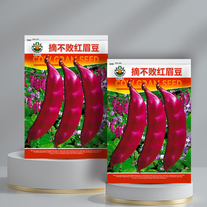 *现货*摘不败红眉豆紫红眉豆种子全红扁豆高产抗病家庭种植春秋绿色蔬菜Uncut, undefeated red kidney bean and purple-red kidney bean seeds