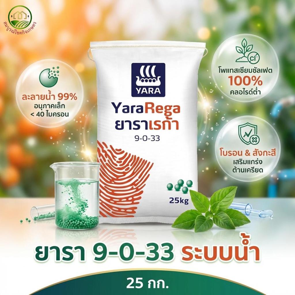 ยาราเรก้า 9-0-33 ปุ๋ยระบบน้ำ เพื่อเพิ่มขนาดผลผลิต รสชาติ และคุณภาพของผลผลิต ขนาด 25 กิโลกรัม