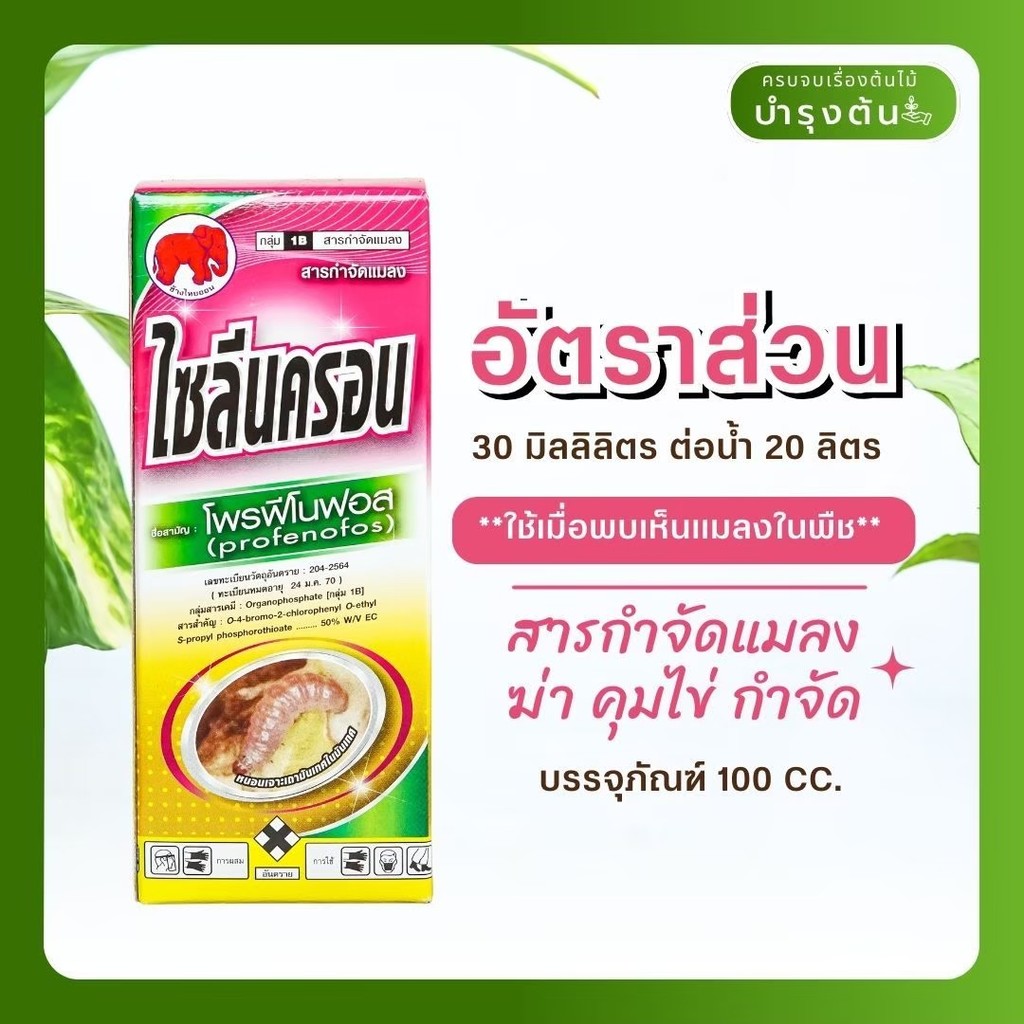 มุมมอง 3