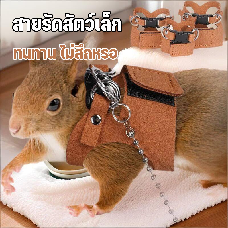 เชือกดึงหนูแฮมสเตอร์ ระบบล็อก3ชั้น+วัสดุกันลม ปรับได้ เบาสบาย ป้องกันหลุดหาย