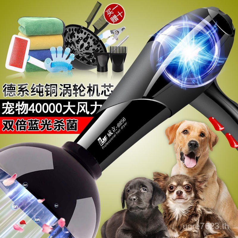 Drying Pet Shop Dog Pet Dog Hair Dryer Bath Hair Dryer Brushed Large Dog Quick-Drying Integrated AAZ