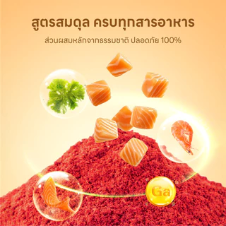 Doge&Orange อาหารสำหรับปลาขนาดเล็ก สำหรับปลาสวยงาม เร่งสี เร่งโต ส่วนผสมจากธรรมชาติ ขนาด400ml PU212