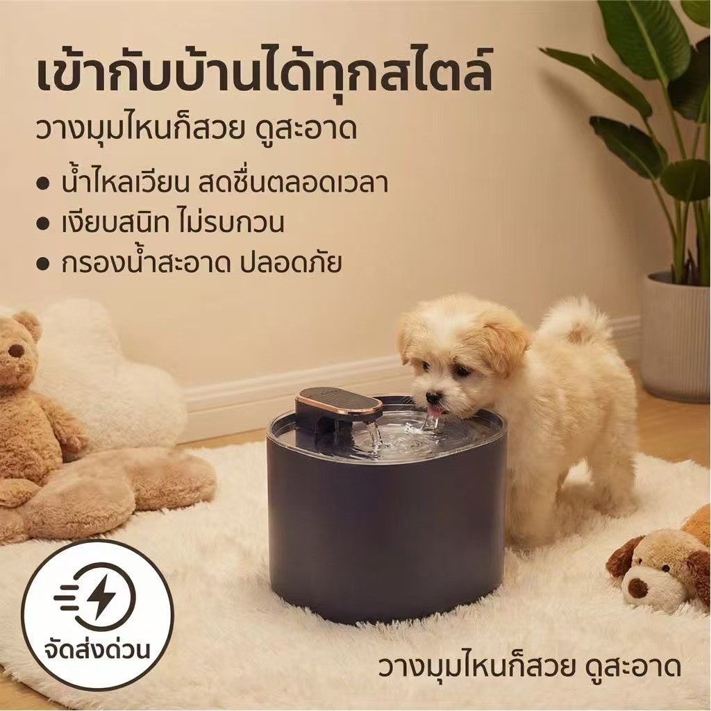 【⛲ เครื่องจ่ายน้ำอัตโนมัติสำหรับสัตว์เลี้ยง ขนาด 3 ลิตร】รุ่นพรีเมียม ทำงานเงียบเป็นพิเศษ พร้อมระบบกรองน้ำ สินค้าพร้อมส่