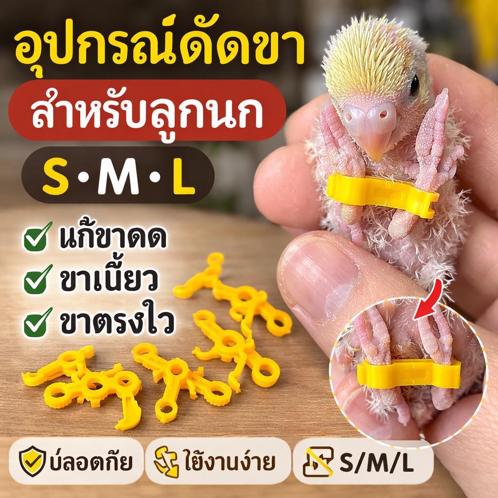 แก้ขานก แหวนเท้านก แก้ขาโก่ง ขาเบียด ลูกนก นกแก้ว ค็อกคาเทล ไก่ ช่วยยืนได้