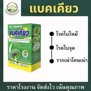 (ยกลัง 6/12 กก) แบคเคียว 2 พลังบวก ยับยั้งเชื้อราแบคทีเรีย ล้างไฟทอปเธอร่าทุเรียน รากเน่า โคนเน่า เน่าเละ ฉีดผ่าดอกได้
