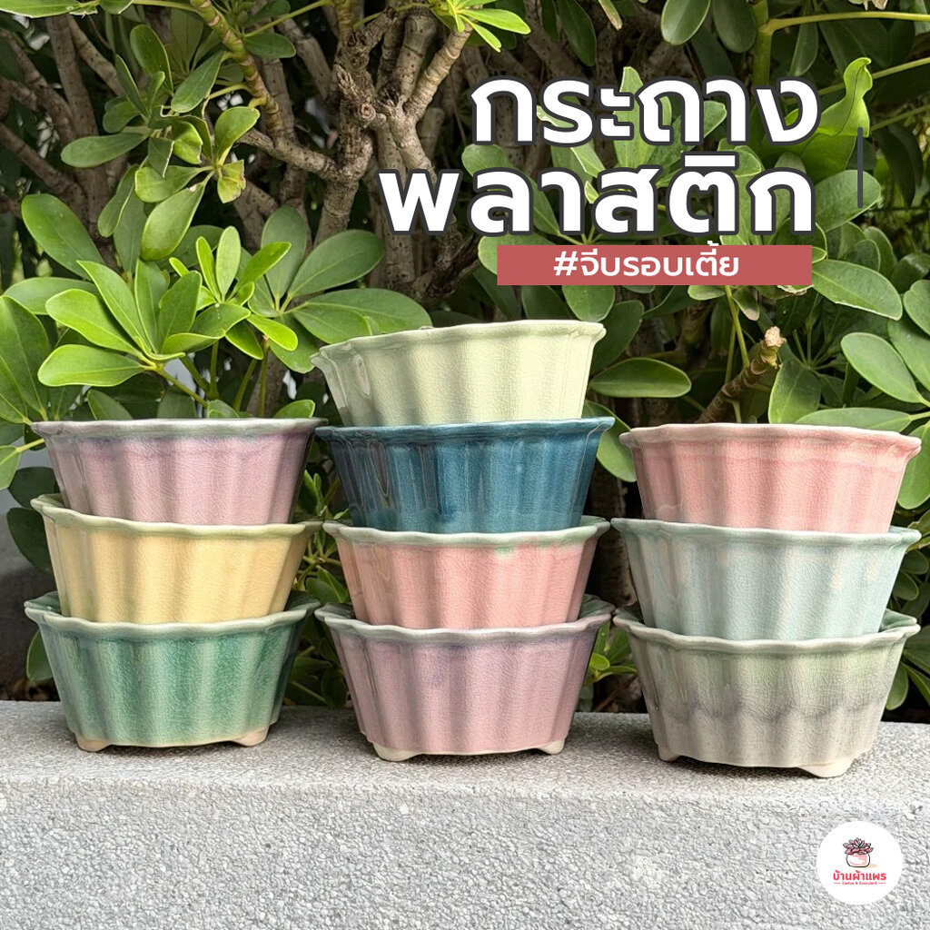 กระถางดินเผา #จีบรอบเตี้ย กระถางต้นไม้ แคคตัส กระบองเพชร ไม้อวบน้ำ Cactus&Succulent