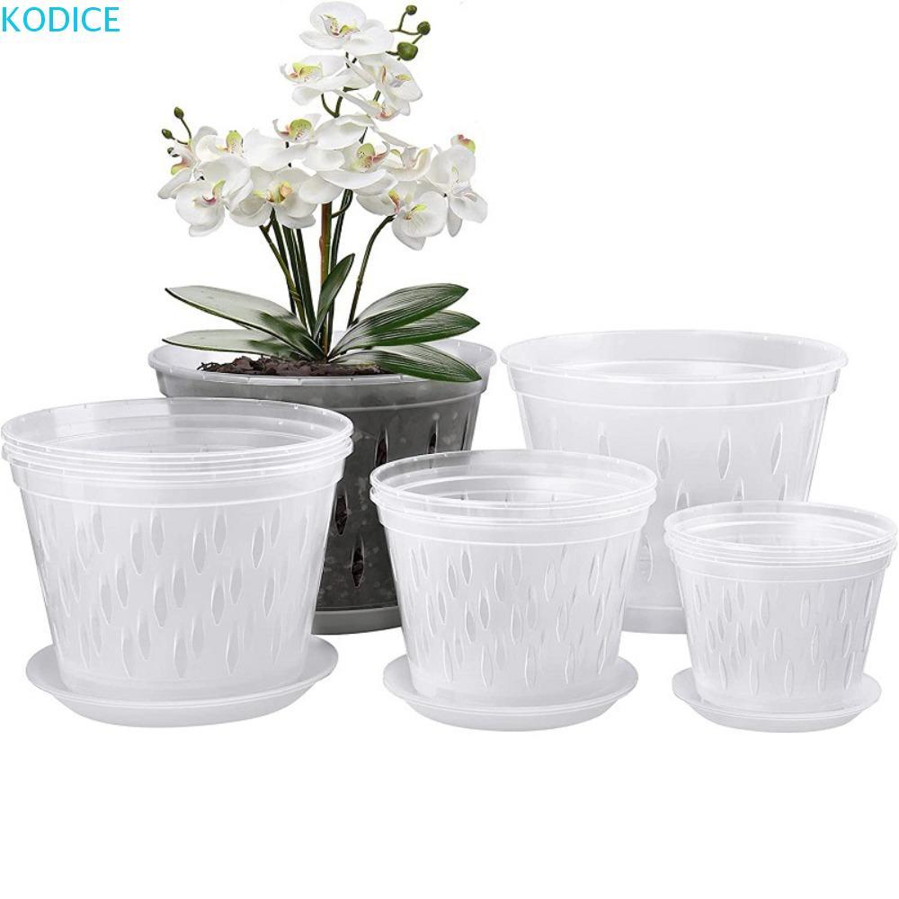 KODICE Orchid Pot Root Control ระบายน้ําดีเยี่ยมโปร่งใสรูและถาด Stomata สําหรับ Phalaenopsis Orchid 