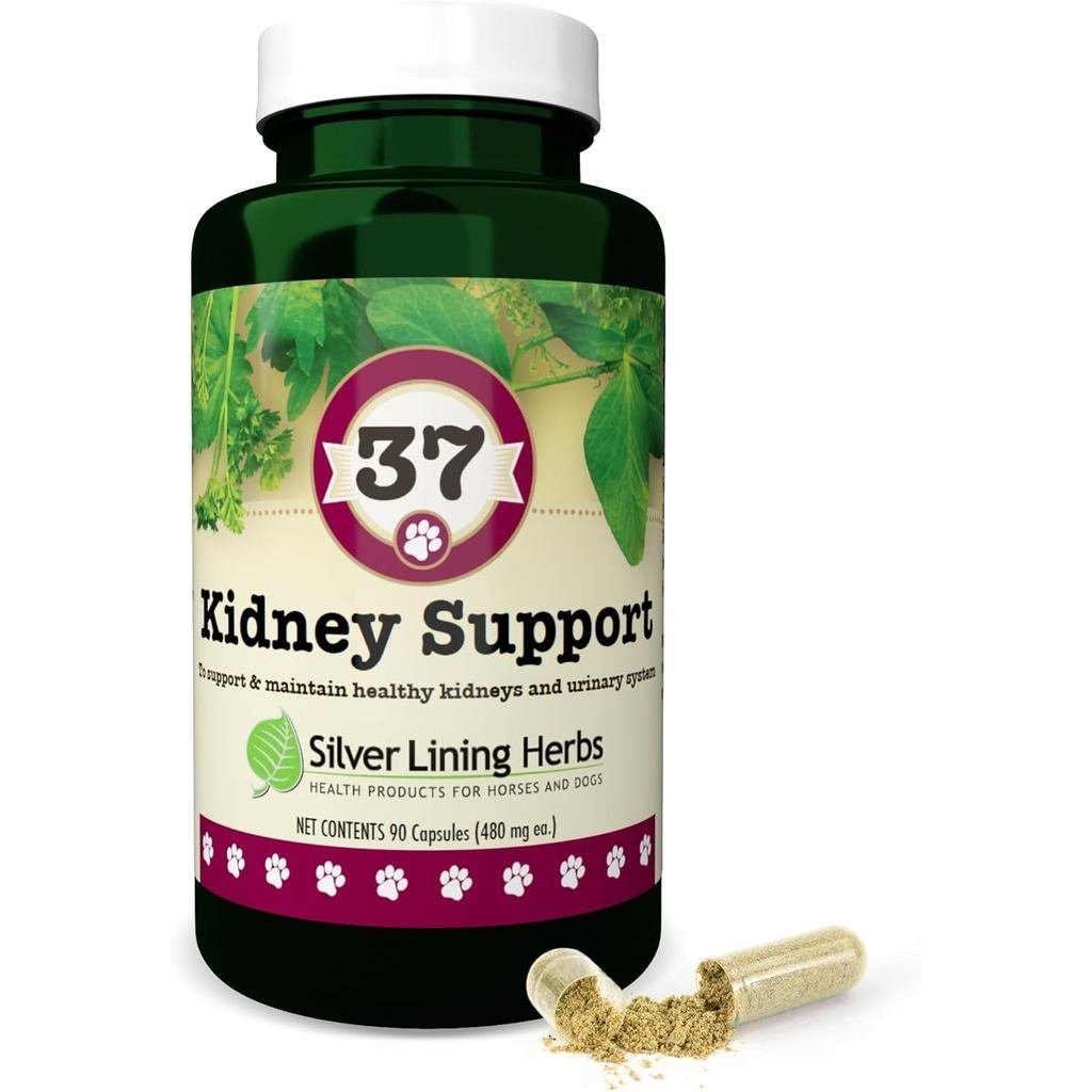 Silver Lining Herbs Kidney Support for Dogs – Natural Herbal Canine Kidney Cleanse & Bulster Support