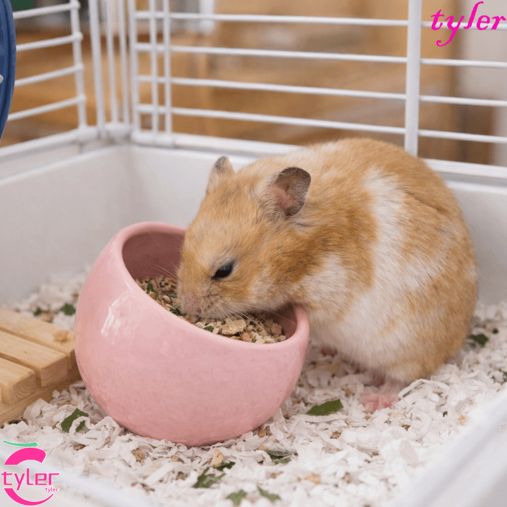 ไทเลอร์ ชามอาหารหนูแฮมสเตอร์, ชามสัตว์เล็กเซรามิกป้องกันการโรลโอเวอร์, น่ารักขอบเอียงลื่นป้องกันการหกชามอาหารน้ําสําหรับกระต่ายนกแก้ว
