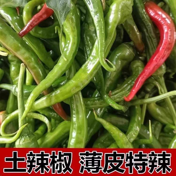 *现货*湖南本地辣椒种子老品线椒种籽杂交高产小辣椒种支持批发一件代发Hunan local chili seeds, old variety long pepper seeds, mixed.2026
