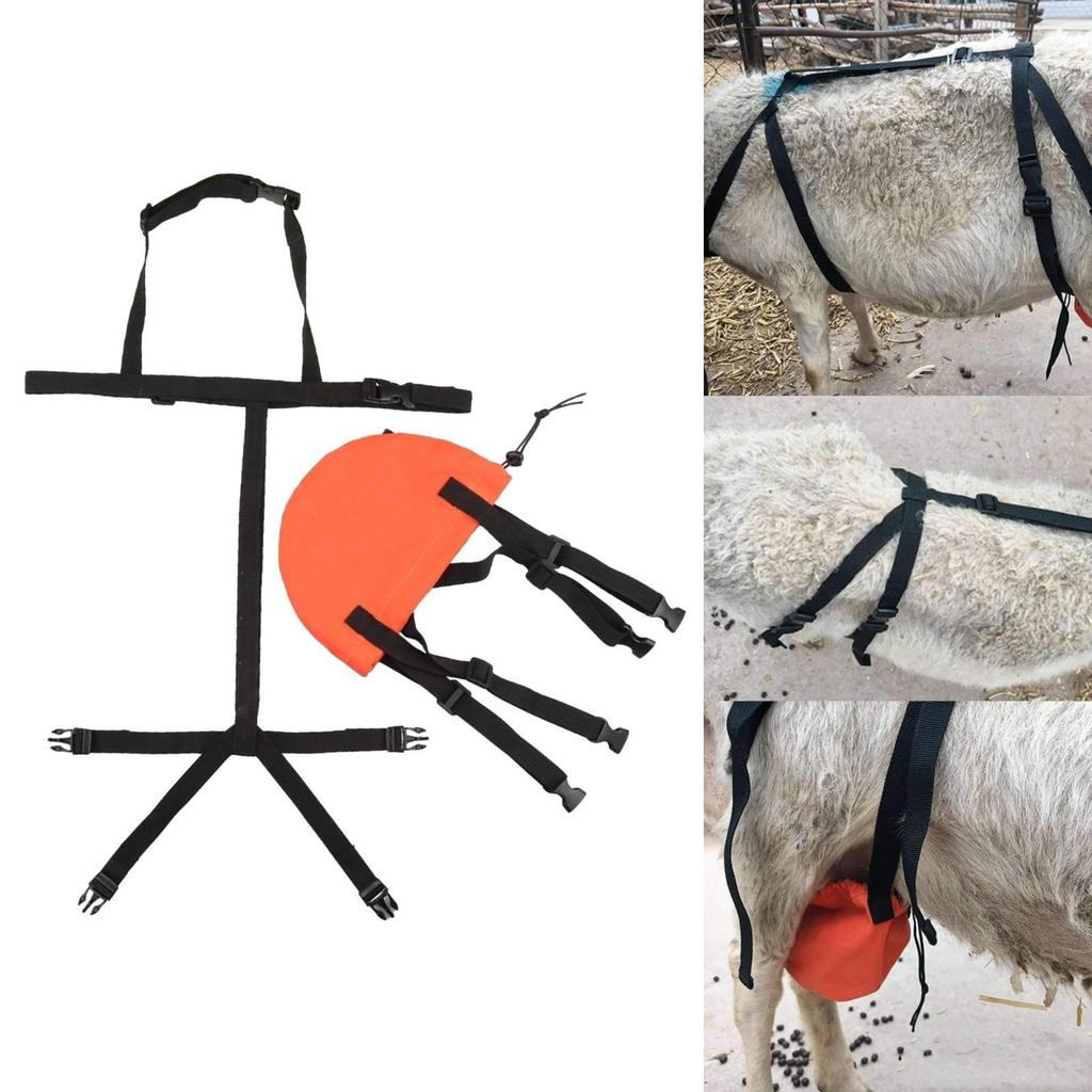[Qklmdt] Bag De Chèvre Brauder Bra Correct Udders Udders Protector Farm Accessories Breast Strap of 
