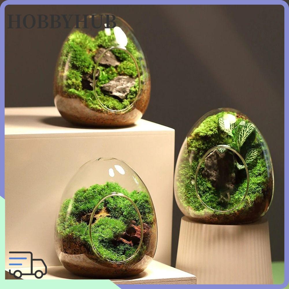 HOBBYHUB ขวดแก้ว Hydroponic Creative Egg-shaped Micro Landscape Glass