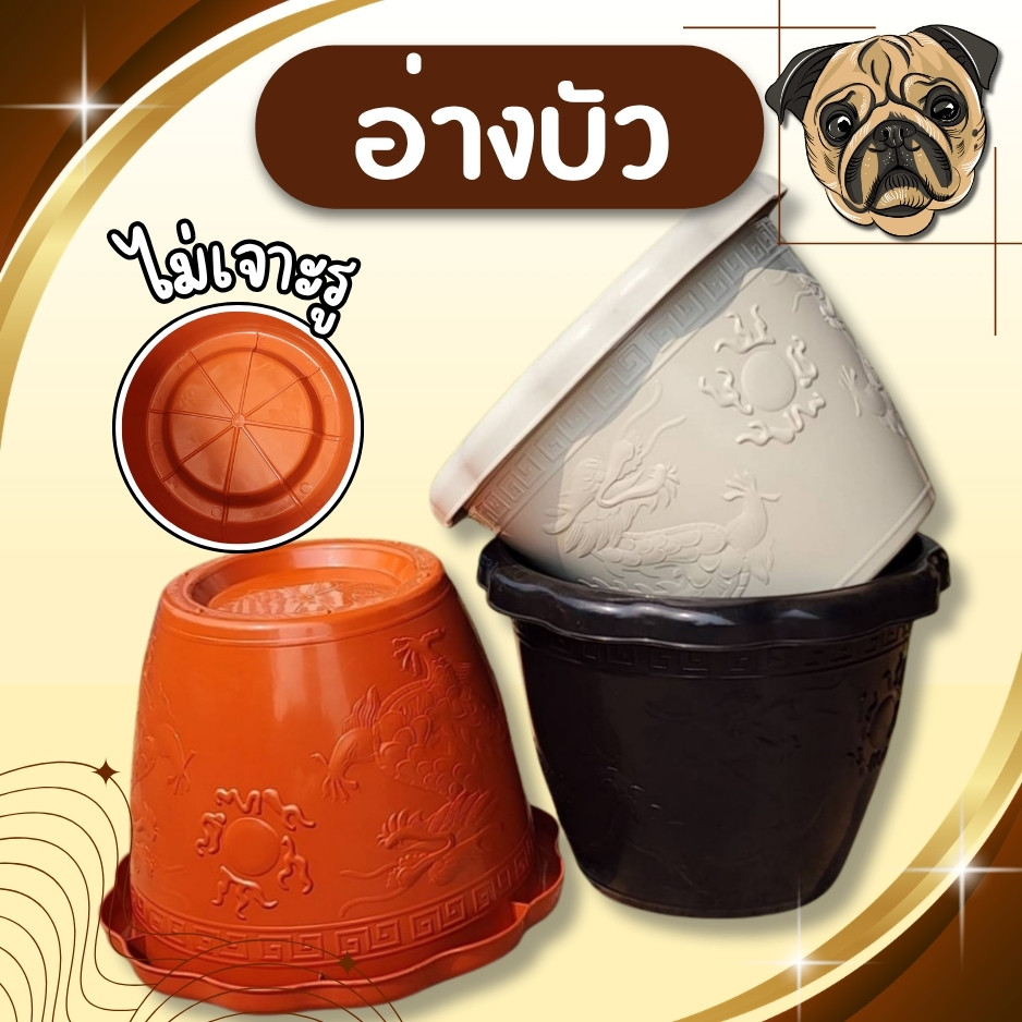 🚚ส่งจากไทย อ่างบัวเลี้ยงปลา เลี้ยงกบ กระถางจัมโบ้ อ่างบัว อ่างปลา กระถางใหญ่ กระถางไซส์ใหญ่ ขนาด 22 นิ้ว