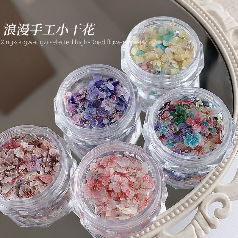 แต่งเล็บดอกไม้แห้งวัสดุผสม Monet Garden ประณีตห้ากลีบดอกไม้วัสดุดอกไม้ตกแต่งเครื่องประดับเล็บดอกไม้ขนาดเล็ก