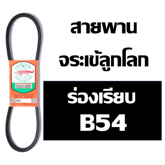 【 COD】จระเข้ลูกโลก สายพาน (ร่อง B เรียบ) สายพาน B54 (TDPF 5540 , 17 x 1350 Li) ร่องฟัน ยาว 54 นิ้ว