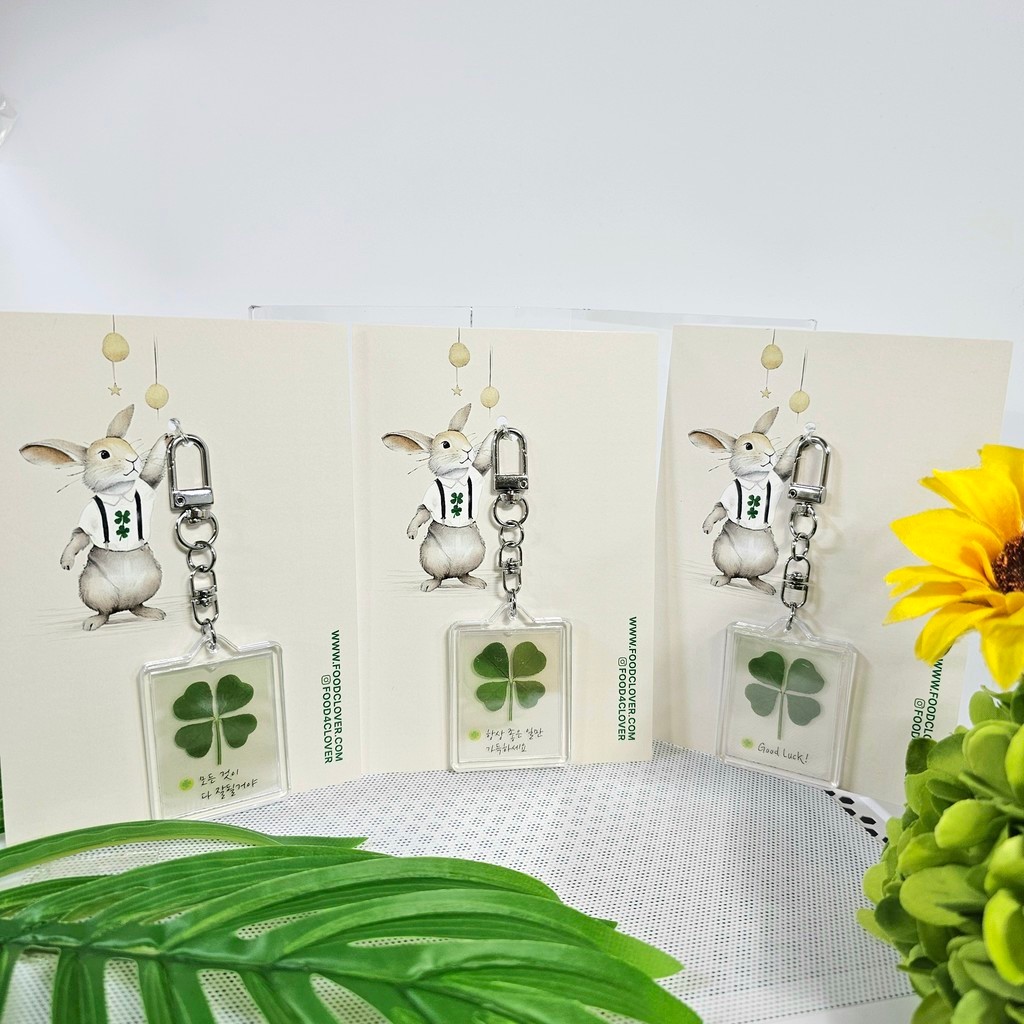 ( พร้อมส่ง ) Clover 4 แฉก ใบโคลเวอร์ นำเข้าจากเกาหลี100% คัดเกรด ใบสวย เสริมดวง นำโชค การเงิน โชคดี