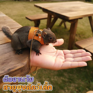สายจูงสัตว์เล็ก เชือกจูงหนูแฮมสเตอร์ สายจูงกระรอก ป้องกันหลุด น้ำหนักเบา นุ่มสบาย พกพาง่าย