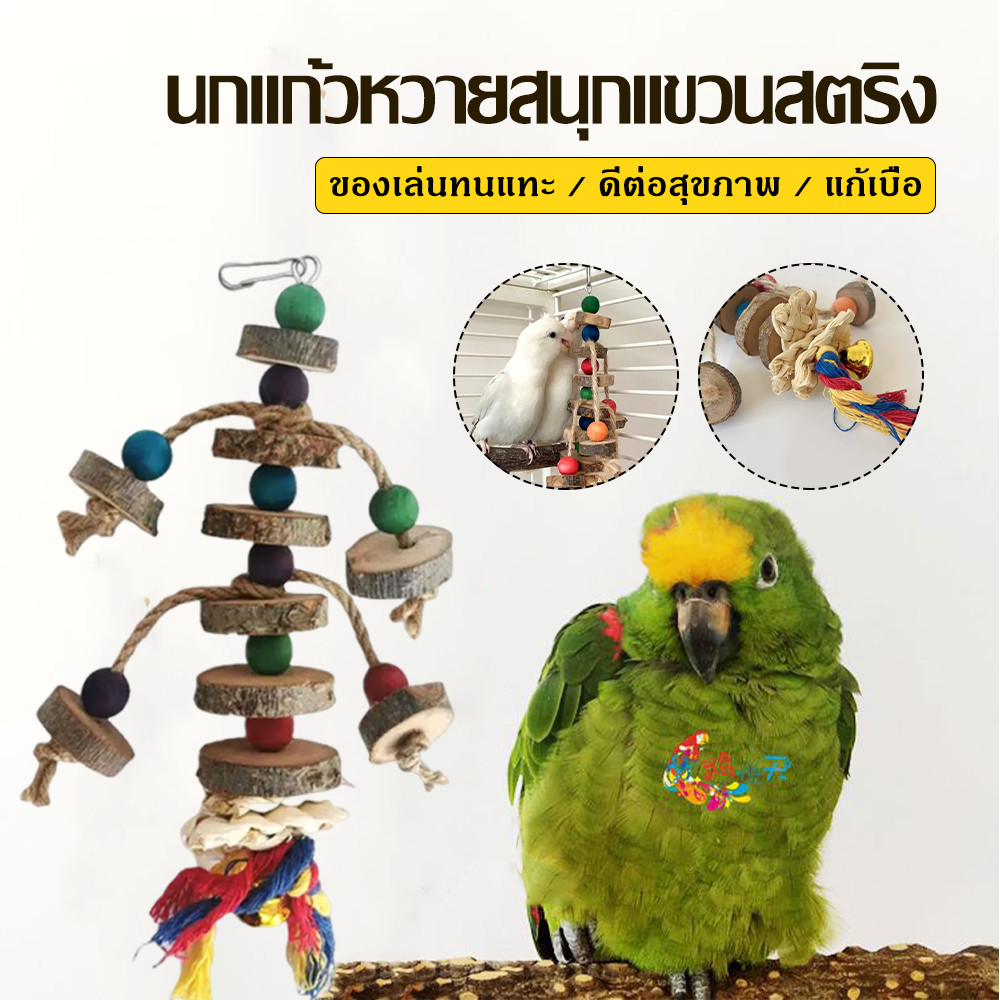 ของเล่นนกแก้วให้นกแก้วเคี้ยวเล่น ทำจากไม้แอปเปิ้ล