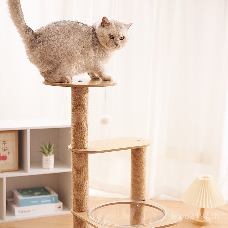 แมวกรอบแมวครอกไม่สูญเสียฝุ่นแมวต้นไม้แมวกรงเล็บแนวตั้งปีนกรอบรอยขีดข่วนทนพื้นที่แคปซูลคอลัมน์แมวปีนเ