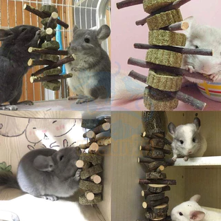 ของเล่นกระต่าย ของเล่นแฮมสเตอร์ ของเล่นลับฟัน ของเล่นกัดแทะ ไม้ลับฟันจากธรรมชาติ ของเล่นแก้สบี้ กระต่าย แกสบี้