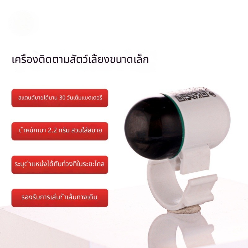 [ใหม่] อุปกรณ์ติดตามสัตว์เลี้ยงสำหรับนกตัวเล็ก แมว และสุนัข - เครื่องติดตามตำแหน่ง GPS ป้องกันการสูญ