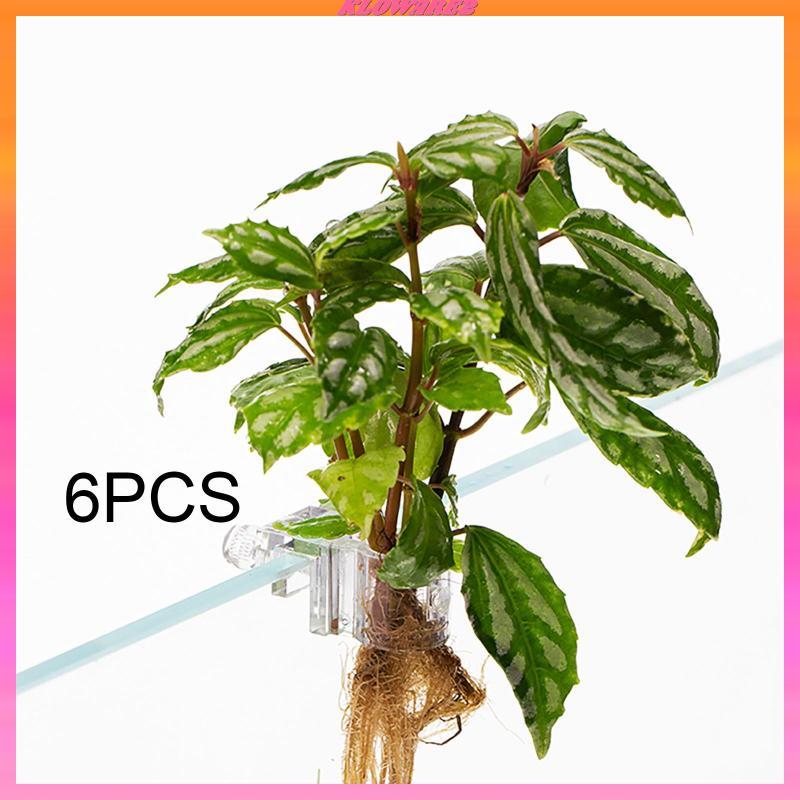 [Kloware2] 6x Aquarium Plant Holder Creative Clear Aquatic Plant Cup for Aquarium Decor