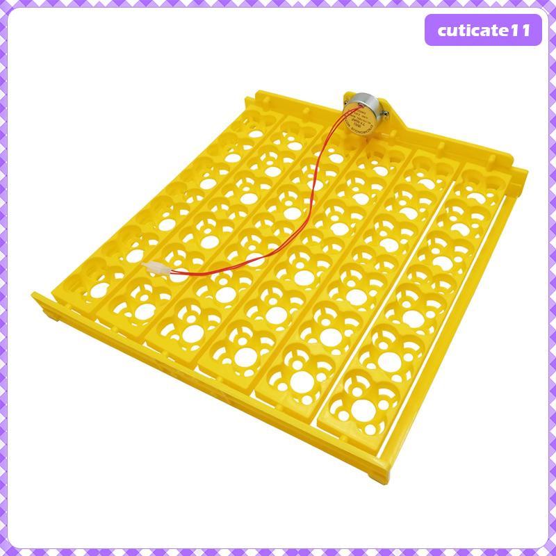 [Cuticate1] 36/156 ตู้ฟักไข่ Turner สําหรับ Gees Quail Bird Egg Hatching สีเหลือง US Type