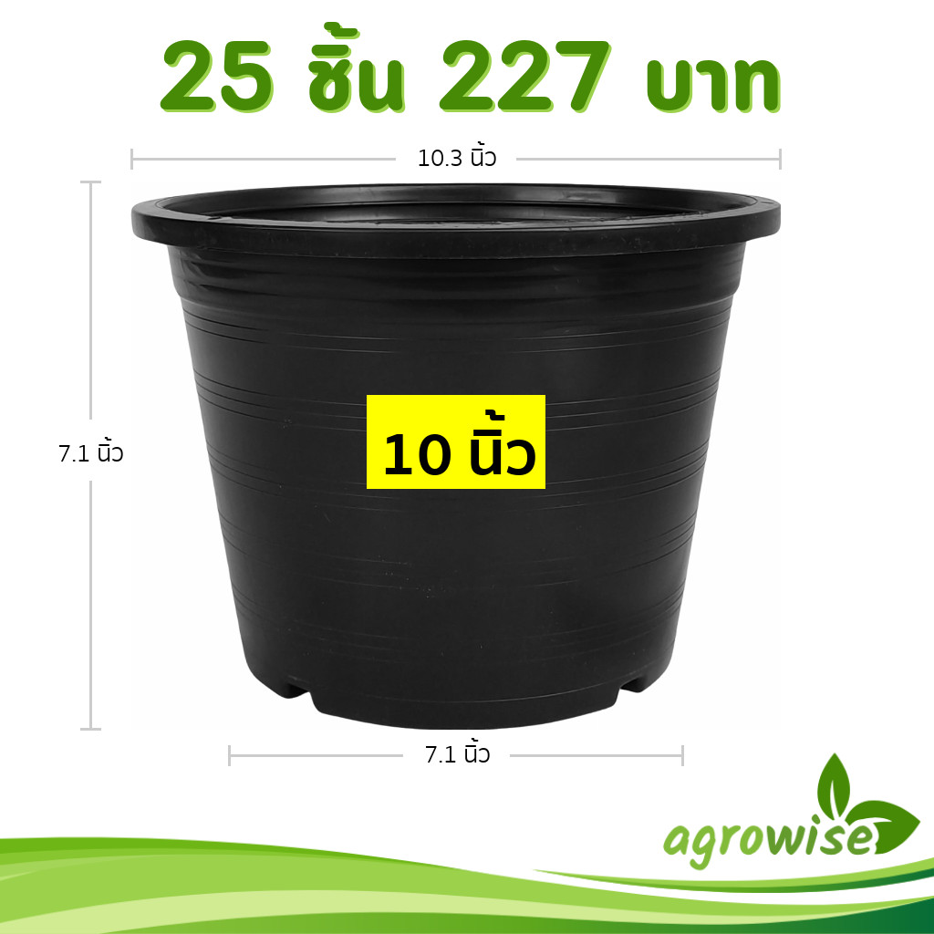 (25ใบ) (50ใบ) กระถางดำ 10 นิ้ว พลาสติก