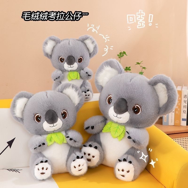 ตุ๊กตาโคอาล่าน่ารัก Wombat Plush ของเล่นเด็ก Ragdoll Comforting ตุ๊กตาน่ารักของขวัญวันเกิด