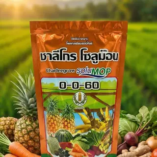 (ยกลัง 5/10 กิโลกรัม) ปุ๋ยเกล็ด ชาลีเฟรท 0-0-60 ขนาด 1 กิโลกรัม เร่งหัว เร่งแป้ง ขยายหัวมัน เร่งน้ำหนัก ระเบิดหัวมัน