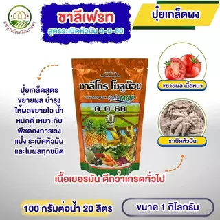 ชาลีเฟรท แม่ปุ๋ยเกล็ด 0-0-60 ขนาด 1 กก แม่ปุ๋ยแท้ 100% เนื้อเยอรทัน ฉีดทางใบ เร่งราก ต้นเขียว สำหรับพืชหลากหลายชนิด