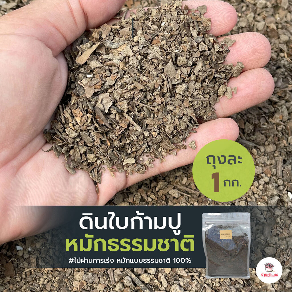 [ 1 กก. ] ดินใบก้ามปูหมักธรรมชาติ ส่วนผสมดินปลูกแคคตัส&ไม้อวบน้ำ