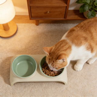 ชามอาหารแมวกันมด ชามสแตนเลส PP ยกสูง ถอดออกได้  ทำความสะอาดง…