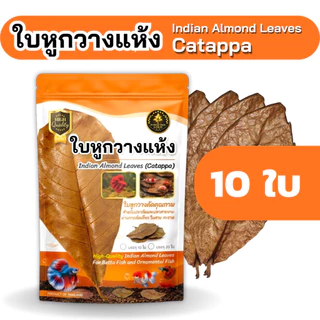 ใบหูกวางแห้ง คัดเกรดพรีเมียม ใบใหญ่ เรียบ สะอาด สำหรับปลากัดและปลาสวยงาม (บรรจุ 10 ใบ / 20 ใบ)