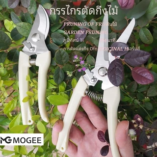 กรรไกรตัดกิ่ง SK5 กรรไกรตัดกิ่งไม้ กรรไกรแต่งกิ่ง ทำสวน กรรไกรตัดแต่งกิ่งไม้ เครื่องมือจัดทำสวน มีระบบล็อคด้าม กรรไกรตัด