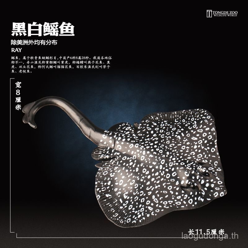 T Tongde จําลองสีดําสีขาว Mullet รุ่นสัตว์ทะเล Undersea Life Mullet Boss ปลาเด็กความรู้ความเข้าใจของ