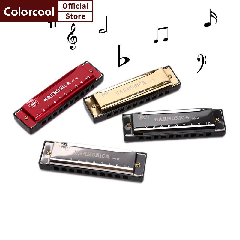 ฮาร์โมเนีย 10 หลุม เครื่องดนตรีสำหรับผู้เริ่มต้น เหมาะสำหรับการสอนและการฝึกหัด