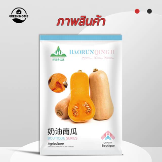 ฟักทองอาร์เจนตินา🎯เมล็ดฟักทองบัตเตอร์นัท 10 เมล็ด🍀ปลูกง่าย📌รสหวาน🧀มัน👍อร่อยมาก☘️ลูกดก