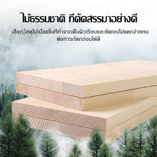 ชั้นลอยสี่เหลี่ยม สำหรับสัตว์เลี้ยงฟันแทะ กระรอก แฮมเตอร์ กระต่ายแคระ ชินชิล่า