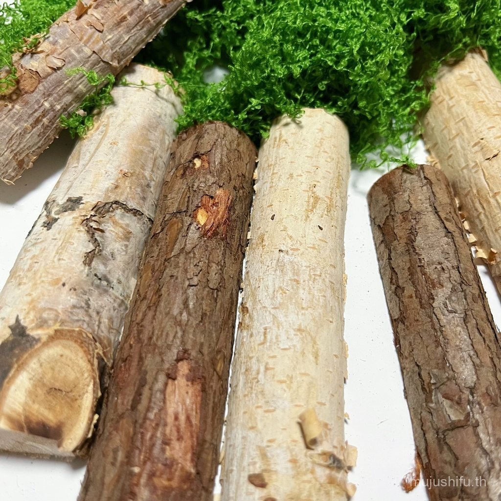 ต้นไม้ธรรมชาติสวนตกแต่งฉากรุ่น Micro ภูมิทัศน์ภูมิทัศน์ Photo Props ทําด้วยมือ diy คู่มือวัสดุ UY8F