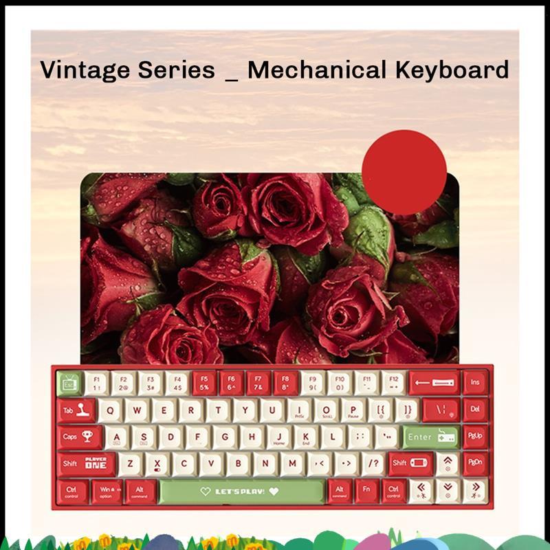 Super AK680 Gaming Mechanical Keyboard ABS Keycap 68 คีย์คีย์บอร์ดแบบมีสาย Hot Swap สําหรับแล็ปท็อปพ