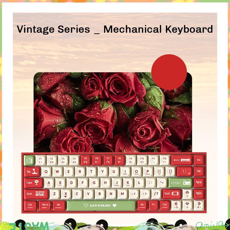 AK680 คีย์บอร์ดเกมคีย์บอร์ด ABS Keycap 68 คีย์คีย์บอร์ดแบบมีสาย Hot Swap สําหรับแล็ปท็อปพีซี