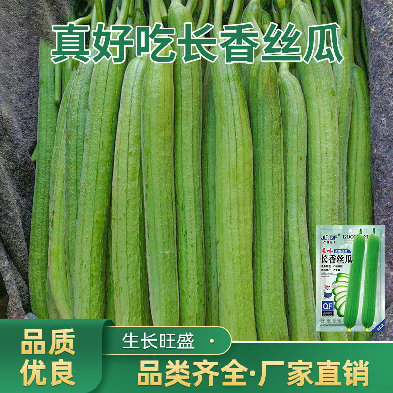 现货热卖长香丝瓜种子四季蔬菜种子菜种籽菜园蔬菜种孑阳台盆栽四季蔬菜种Changxiang loofah seeds, all-season vegetable seeds, vegetable see