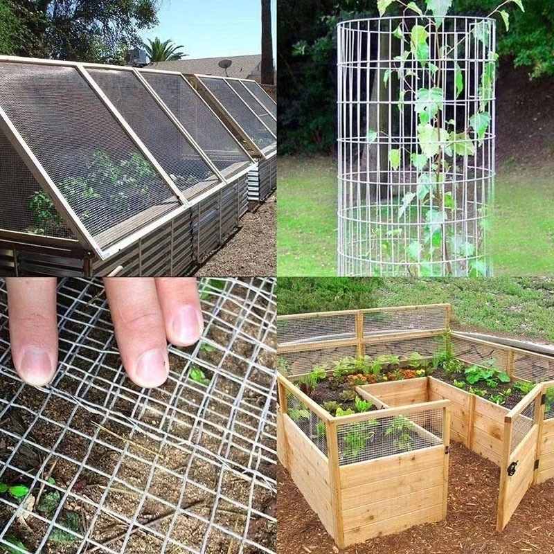 COW KING ลวดตาข่าย ชุบกัลวาไนซ์ ตาข่ายกรงไก่ ตาข่ายกรงนก ตะแกรงปูผนัง ตาข่ายลวด ลวดเหล็ก รั้วตาข่าย กันงู กันหนู ดักสั - รูปที่ 5