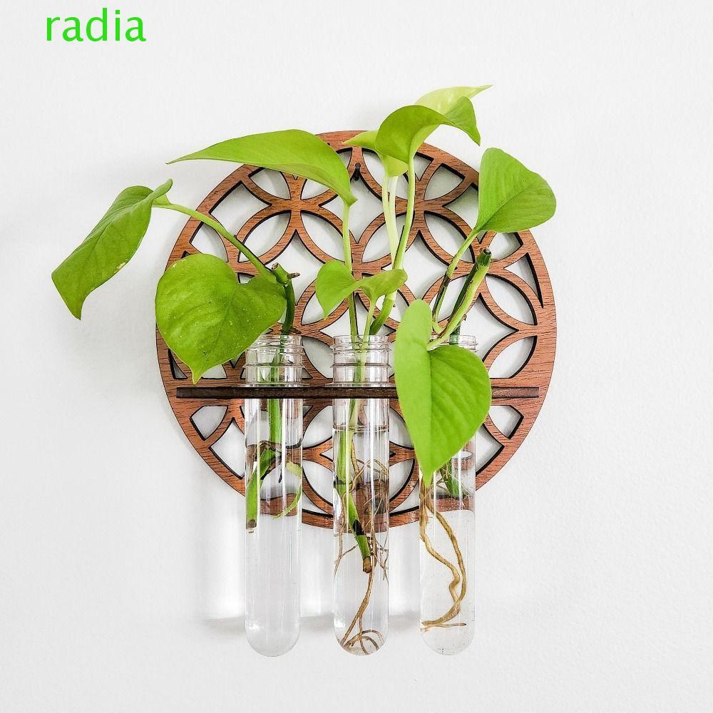 RADIANTZAP แจกันแขวนผนัง, หลอดทดลอง Hydroponic บรรจุแจกัน Hydroponic, ของขวัญ Mini Plant Storage Rack ไม้แขวน Planter บ้าน/สํานักงาน Decor