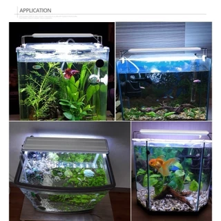 3สี ไฟตู้ปลา Led พืชน้ำ แสง RGB ไฟตู้ปลาคุณภาพ โดดเด่นด้วยแสงสีน้ำเงินเรืองแสง กระตุ้นการเติบโตของพืชน้ำ