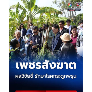 (ชุด SET 10 แผง) เพชรสังฆาต อภัยภูเบศร ขนาดบรรจุ 10 แคปซูล / 1 แผง exp:2027